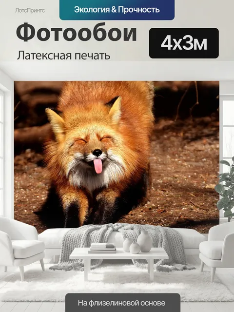 400 × 300 см · Латексная печать