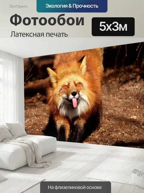 500 × 300 см · Латексная печать