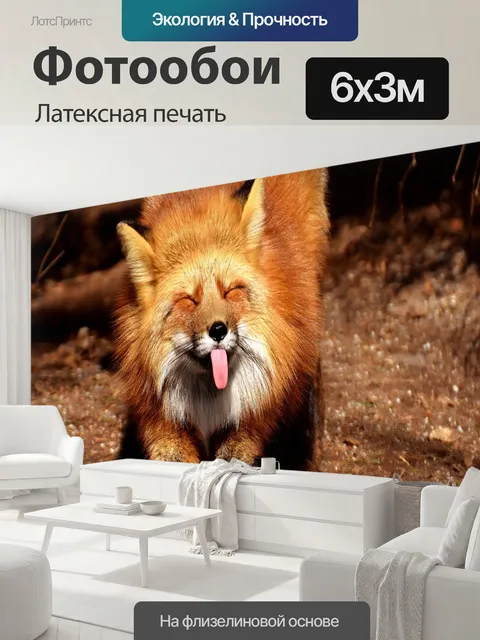 600 × 300 см · Латексная печать