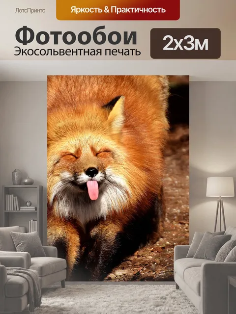 200 × 300 см · Экосольвентная печать