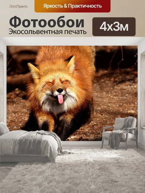 400 × 300 см · Экосольвентная печать