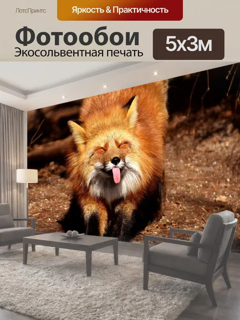 500 × 300 см · Экосольвентная печать