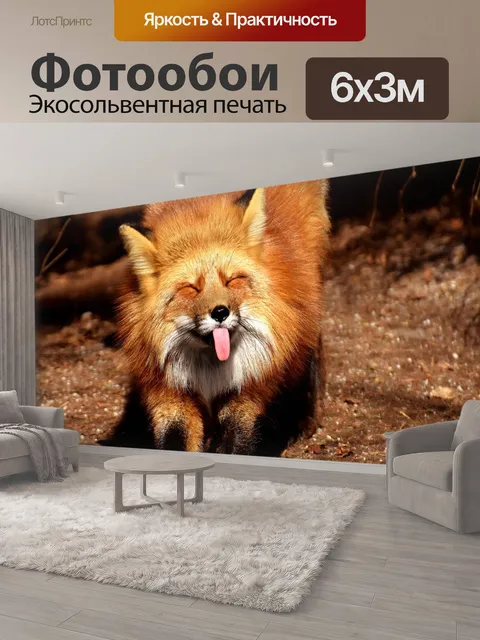 600 × 300 см · Экосольвентная печать