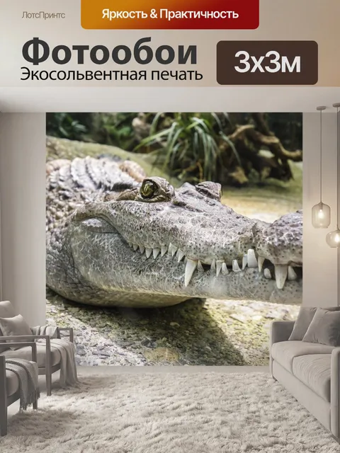 Фотообои Крокодил, зубы, рептилия