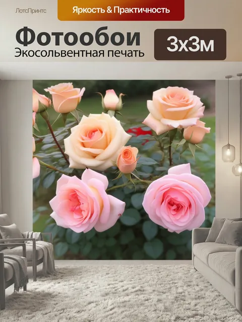 Фотообои Разные роза цветы