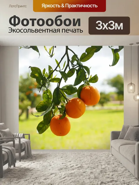 Фотообои Апельсины, фрукты, апельсиновое дерево