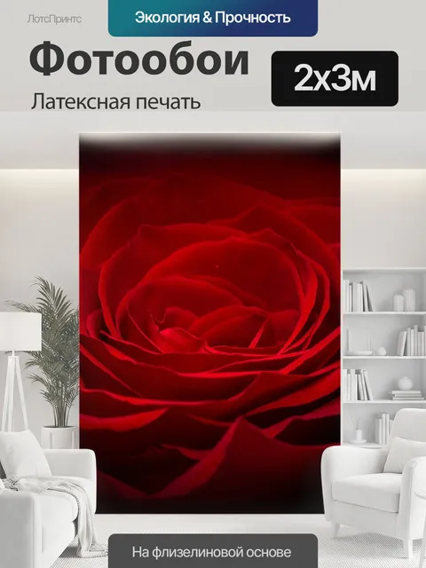 200 × 300 см · Латексная печать