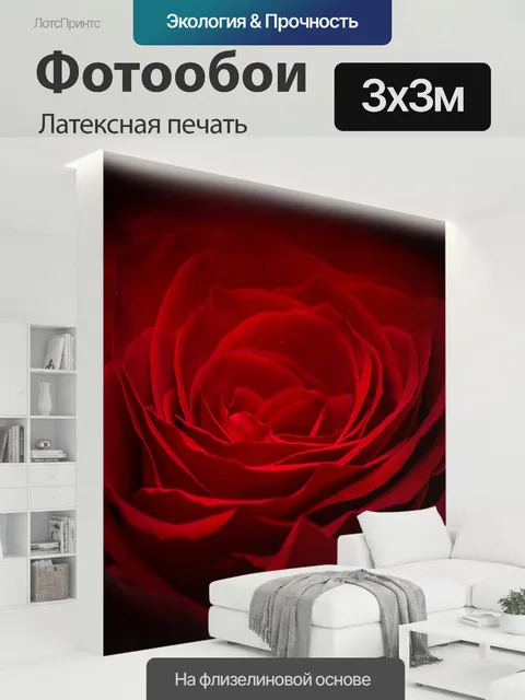 300 × 300 см · Латексная печать