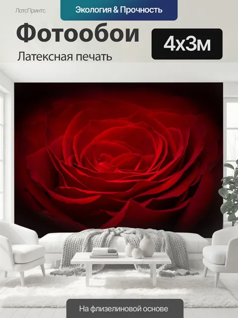400 × 300 см · Латексная печать