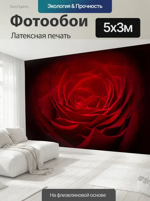 500 × 300 см · Латексная печать