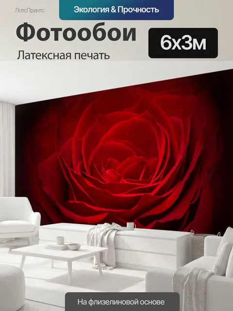 600 × 300 см · Латексная печать