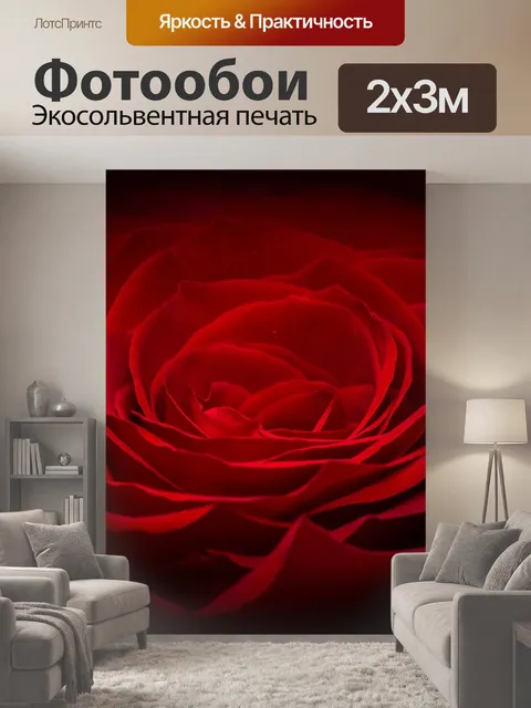 200 × 300 см · Экосольвентная печать