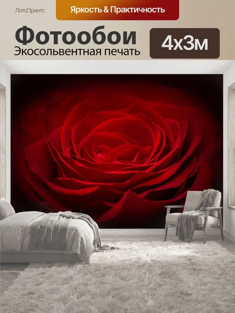 400 × 300 см · Экосольвентная печать