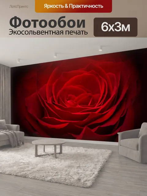 600 × 300 см · Экосольвентная печать