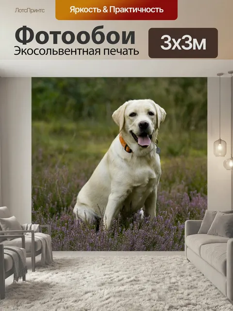 Фотообои Лабрадор, щенок