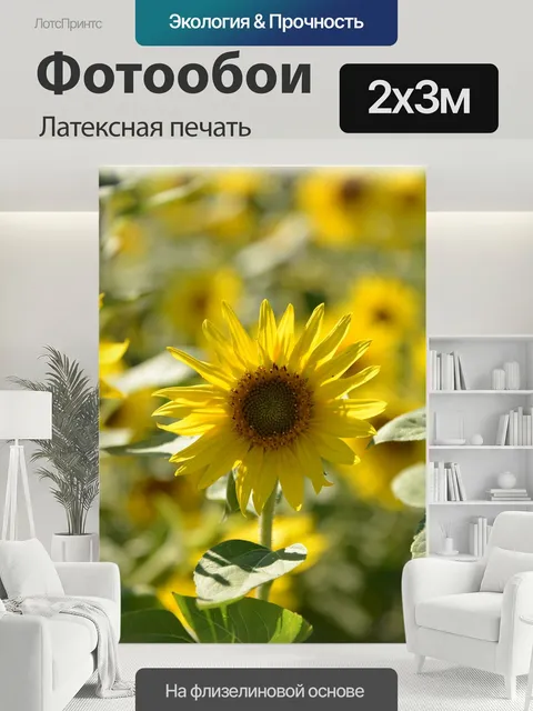 200 × 300 см · Латексная печать