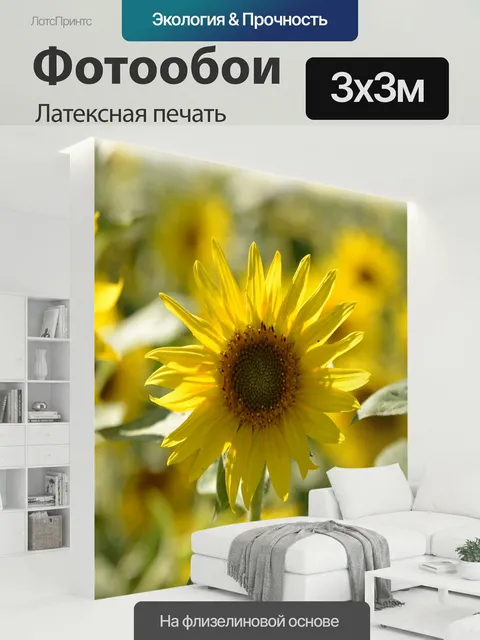 300 × 300 см · Латексная печать