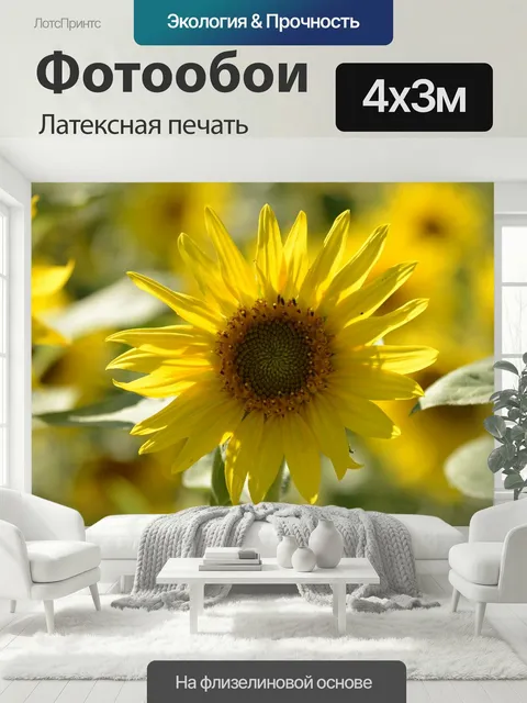400 × 300 см · Латексная печать