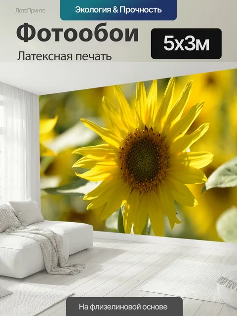 500 × 300 см · Латексная печать