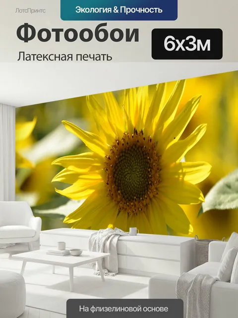 600 × 300 см · Латексная печать