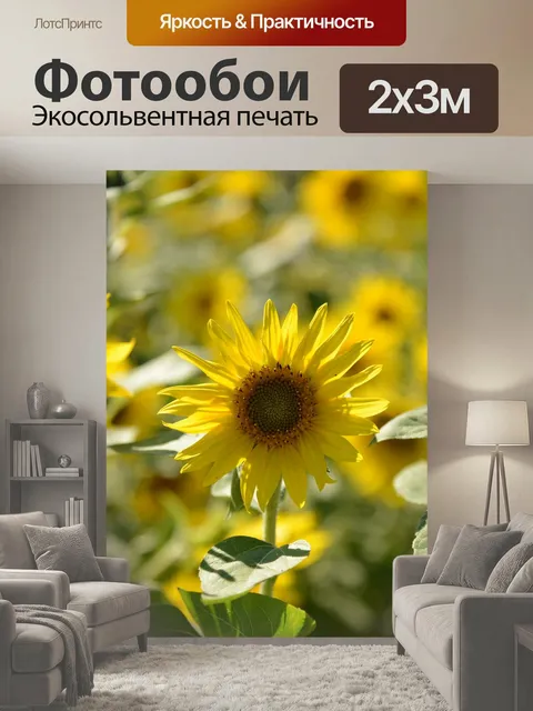 200 × 300 см · Экосольвентная печать