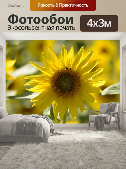 400 × 300 см · Экосольвентная печать