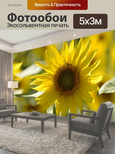 500 × 300 см · Экосольвентная печать