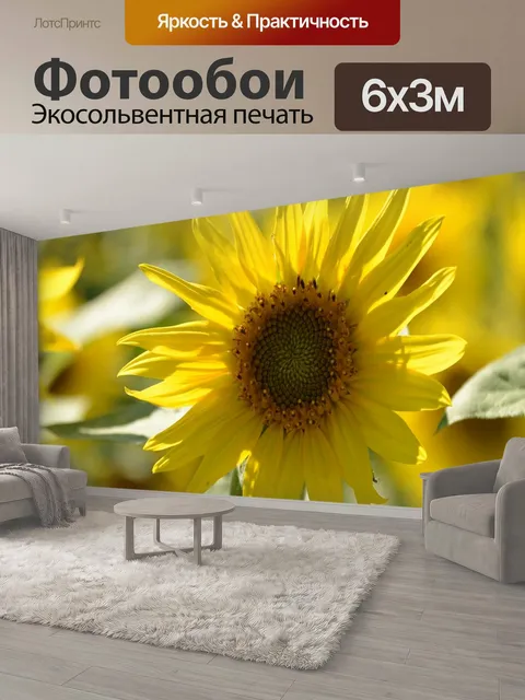 600 × 300 см · Экосольвентная печать