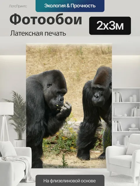 200 × 300 см · Латексная печать