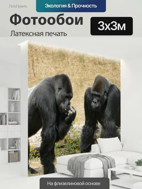 300 × 300 см · Латексная печать