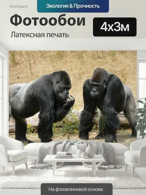 400 × 300 см · Латексная печать