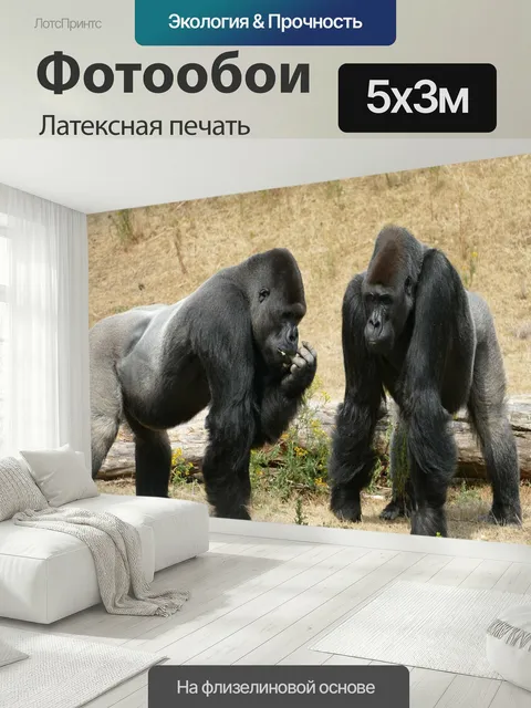 500 × 300 см · Латексная печать