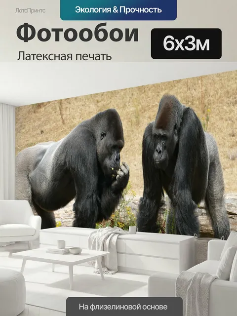 600 × 300 см · Латексная печать