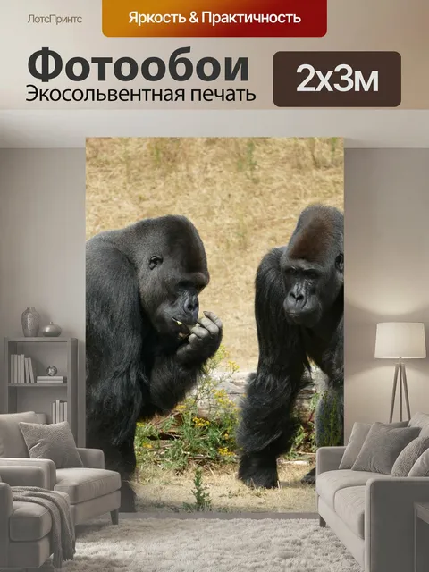 200 × 300 см · Экосольвентная печать