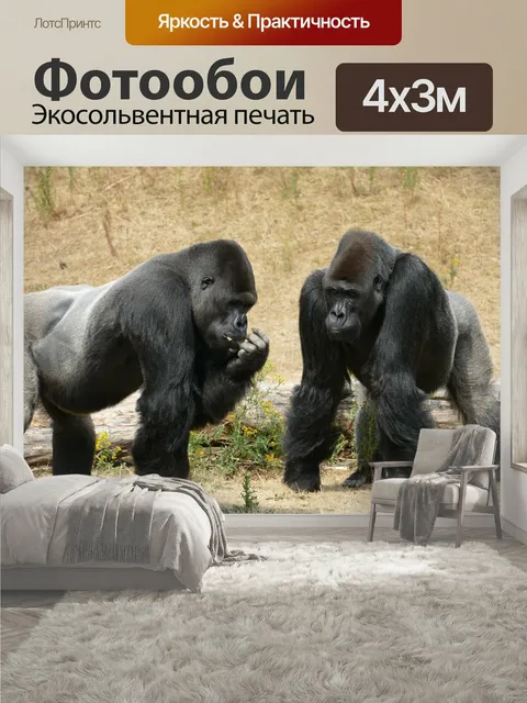 400 × 300 см · Экосольвентная печать