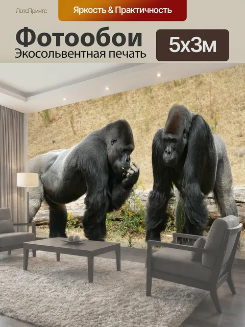 Фотообои Горилла, равнинных горилл, обезьяна