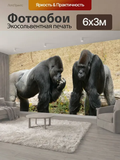 600 × 300 см · Экосольвентная печать