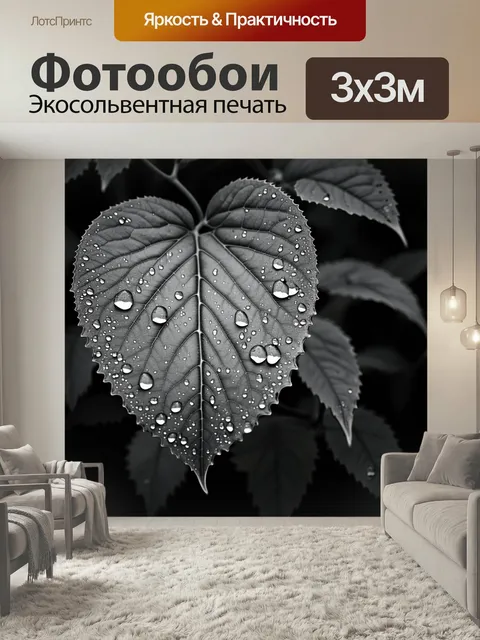 Фотообои Черно-белый, показывающие детали природы, такие как капли воды на листьях, создающие ощущение свежести. стиль…