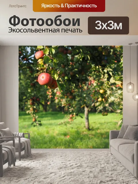Фотообои Яблоки, яблоня, фрукты