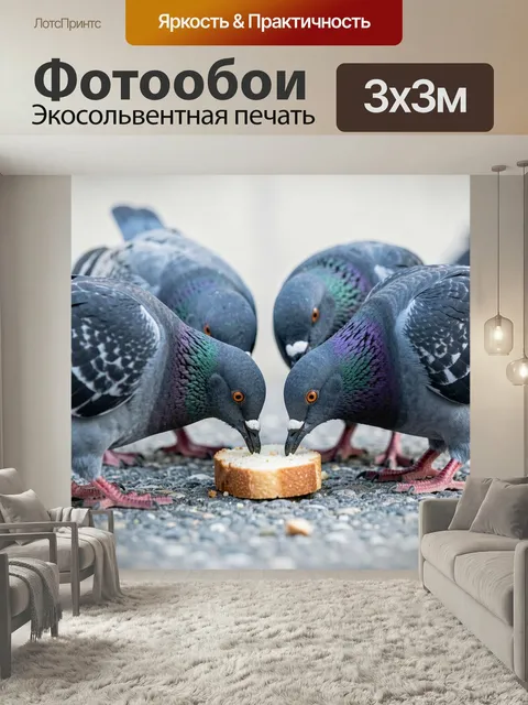 Фотообои Голуби у куска хлеба. Крупный план серых городских птиц с переливами зелёного и фиолетового на шее, клюющих л…