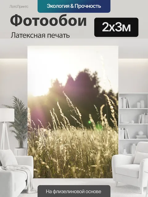 200 × 300 см · Латексная печать