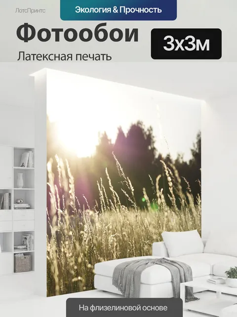 300 × 300 см · Латексная печать