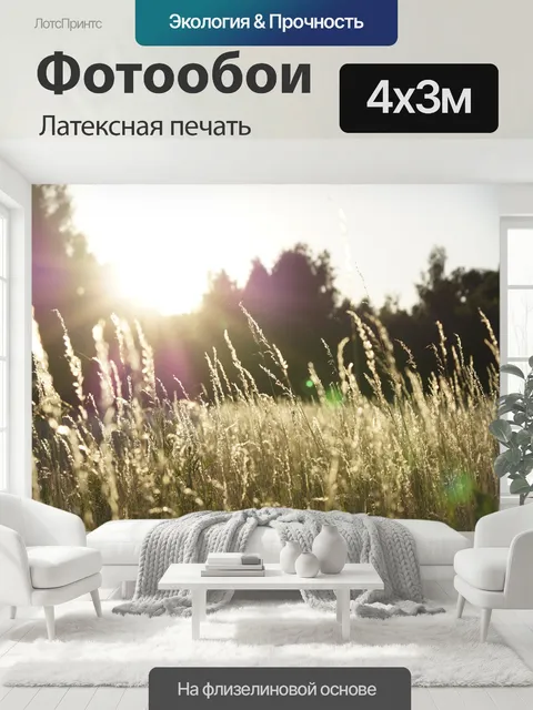 400 × 300 см · Латексная печать