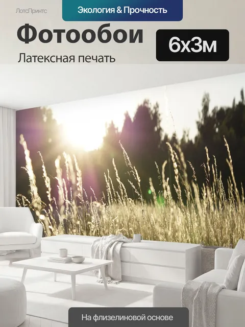 600 × 300 см · Латексная печать