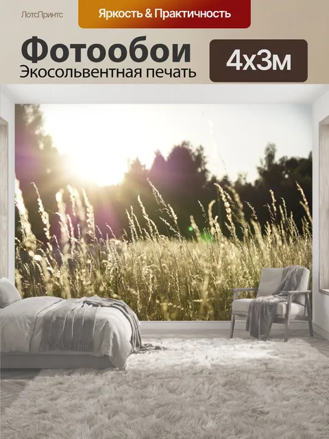 400 × 300 см · Экосольвентная печать