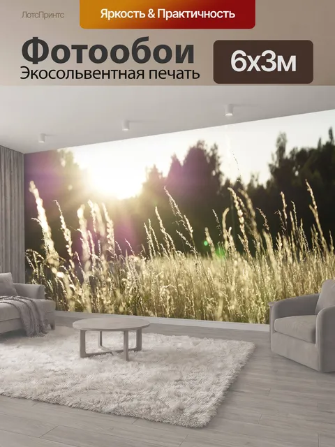 600 × 300 см · Экосольвентная печать