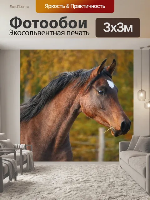 Фотообои Лошадь, коричневый, жеребец