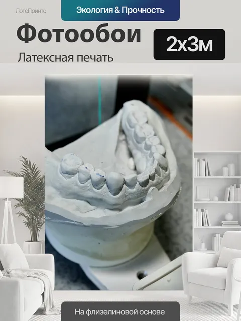 200 × 300 см · Латексная печать