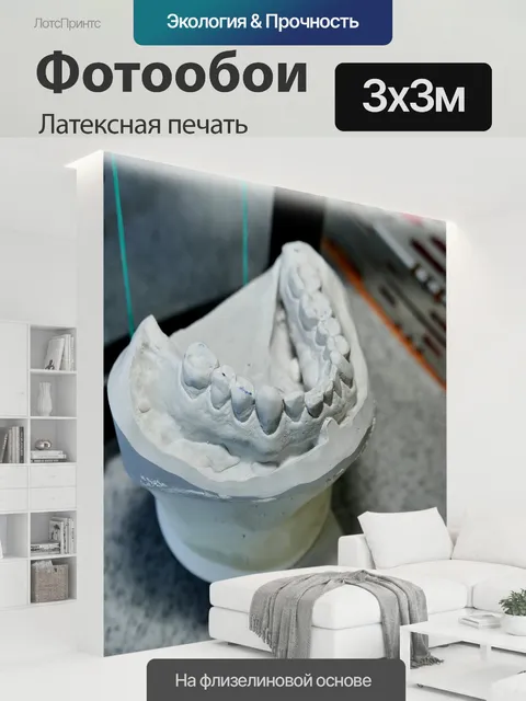300 × 300 см · Латексная печать