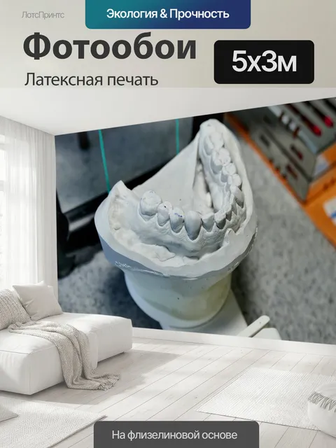 500 × 300 см · Латексная печать